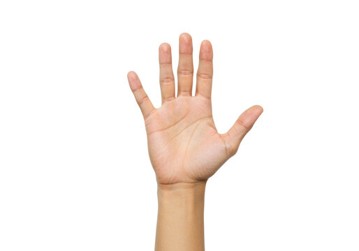 Isolated human hand showing five fingers, gesture of counting, expressing hello and stop
