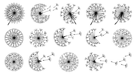 Dandelion Seed Head Blowing Puffy Vector Outline Silhouette Set