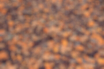 Blurred warm autumn background with fallen leaves, out of focus, gradient backdrop