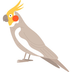 Cute cartoon cockatiel parrot with yellow crest and orange cheek patch isolated on white background simple illustration