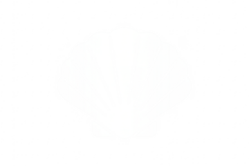 Scallop seashell white icon vector on transparent background
