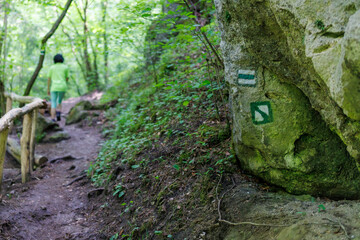 Súľovské skaly, Slovakia. Rocky formations and lush green forest under blue sky, unique limestone towers, needles, and cliffs in scenic mountain landscape, popular hiking and climbing destination.