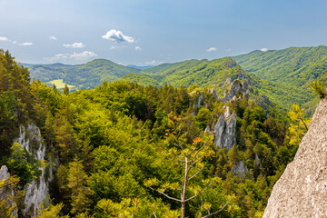 Súľovské skaly, Slovakia. Rocky formations and lush green forest under blue sky, unique limestone towers, needles, and cliffs in scenic mountain landscape, popular hiking and climbing destination.