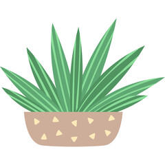 A Potted Green Succulent Plant With Pointed Leaves in a Light Brown Pot with Speckled Design and Transparent Background