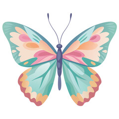 butterfly isolated on white