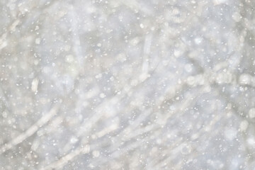 snowfall background, abstract backdrop against blurred winter trees