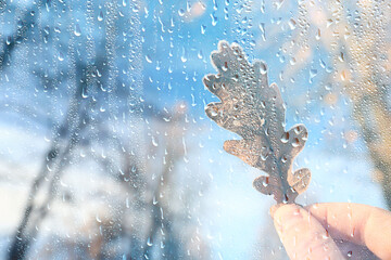 raindrops on glass blurred autumn background trees in the park, seasonal backdrop rainy weather
