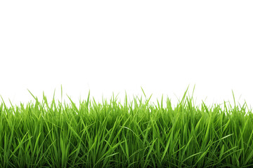 Fototapeta premium Vibrant green grass with varying blade heights creating natural texture and depth effect, isolated on a transparent background