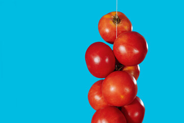 red tomatoes for hanging on a blue background