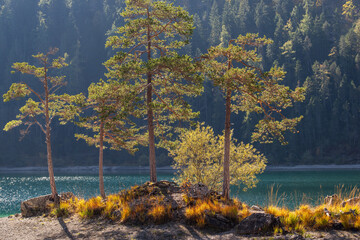 Herbst am Blindsee, Österreich