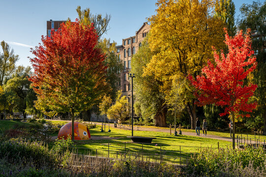 Unrecogizable people walk in waterfront park Str&ouml;mparken during autumn in Sweden. Norrk&ouml;ping is a historic industrial town in Sweden.