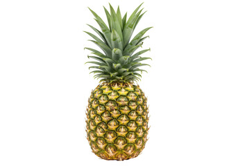 Isolated whole pineapple with crown, tropical fresh fruit, sweet, delicious and healthy