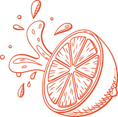 Juicy Orange Slice with Splash – Hand Drawn Citrus Fruit Vector Illustration