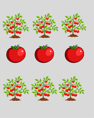 set of tomato icons