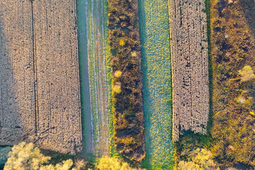Jesienne pole, Małopolska  © Maciej G. Szling