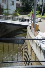 都会の川と橋の風景