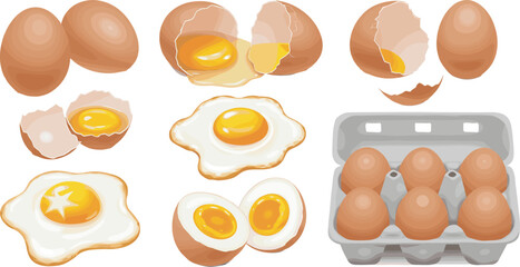 Fresh brown eggs and fried egg illustrations, cracked egg collection with yolk and carton box, realistic breakfast food vector design concept
