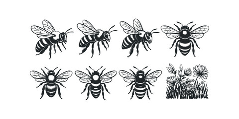 Collection of stylized bees and wildflowers in black and white