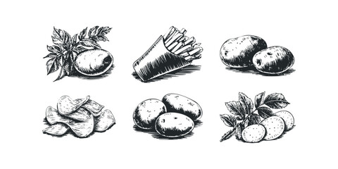 Hand Drawn Potato and Chip Collection