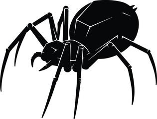 Silhouette black spider insect isolated on white background vector illustration
