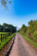 country road in autumn