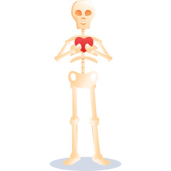 A beige skeleton stands with hands together holding a red heart on a transparent background.