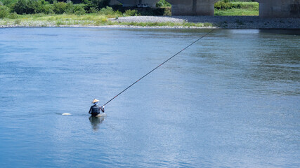 鮎の友釣り風景