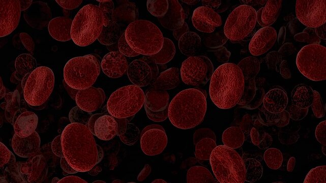Drifting red blood cells rotating under fluid current in bloodstream void, showing concave detail
