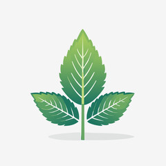 Green leaves illustration on a white background, nature concept.