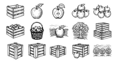 Hand-drawn apple and crate collection with vintage farm scene