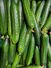 Freshly harvested cucumbers on wooden table. Green organic cucumber in market. Ripe cucumbers on the box. Food background.