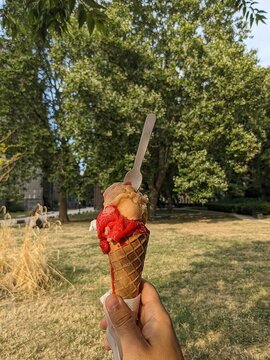 Glace artisanale &agrave; la mangue et &agrave; la fraise par une journ&eacute;e ensoleill&eacute;e en France &ndash; Saveurs fruit&eacute;es et ambiance estivale