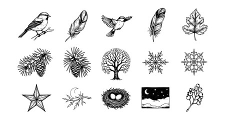 Obraz premium Nature-inspired ink pen sketches of birds, feathers, trees, and seasonal elements