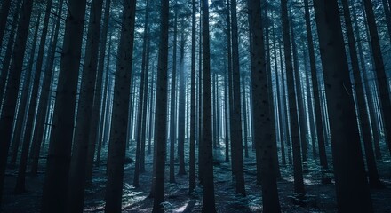 Obraz premium Enchanting Forest at Dusk Deep Woods with Moody Blue Light and Sunbeams Mysterious Natural Landscape