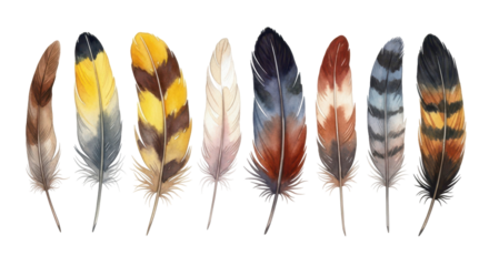 Feather Palette: A collection of meticulously detailed bird feathers, each displaying unique patterns and hues, arranged in a row. A celebration of natural artistry and avian diversity.