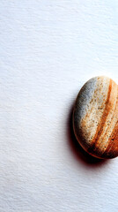 leaf shadow cast across light wall creating simple minimal artistic nature detail