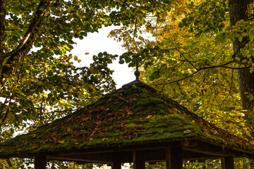 Fotowalk - Sankt Georgen im Attergau