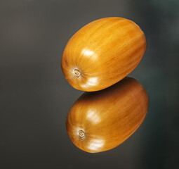 acorn in macro on mirror