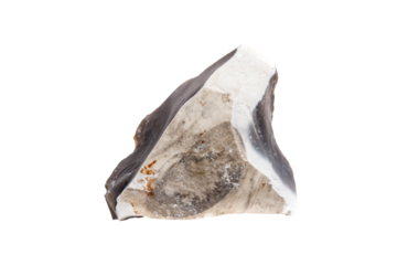 An elegant flint mineral on a white isolated background, showcasing a refined gray surface with intricate natural markings and a glossy polish. Suitable for luxury decor or educational use.