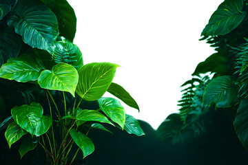 Green Tropical Plants Frame Exotic Foliage Background Natural Botanical Design