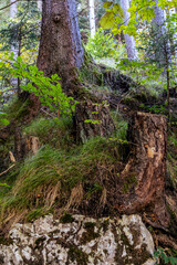 Fotowalk - Sound of Music Trail Werfen