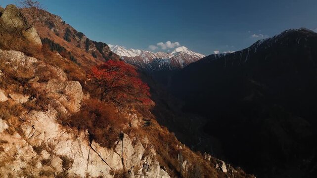 Aerial view panorama of yellow autumn forest in Almaty