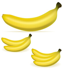 bananas realistic fresh and ripe vector illustration food icons