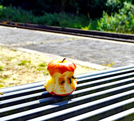 den Apfel den Wespen &uuml;berlassen