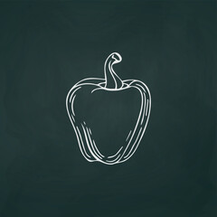 Bulgarian pepper thin white lines on a textural dark background - Vector illustration