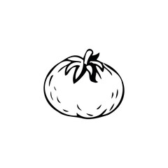 Ripe tomato thin black lines on white background - Vector illustration