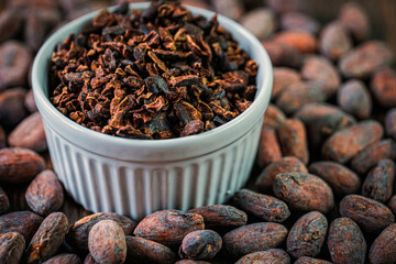 Cocoa nibs, Close-up of cocoa nib and dried cocoa beans
