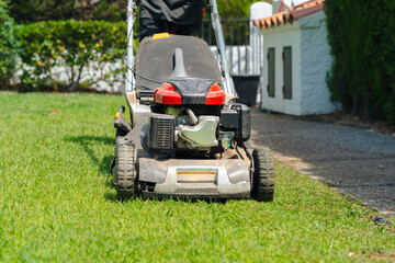 Close up view of a lawn mower cutting green grass in the garden during summer gardening...