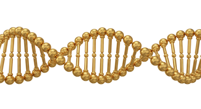 Conceptual 3D Render of Golden DNA Double Helix Structure, Isolated