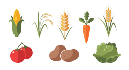 Flat Vector Set of Vegetables and Crops with Corn, Rice, Wheat, Carrot, Tomato, Potato, and Cabbage for Organic Farming Concept